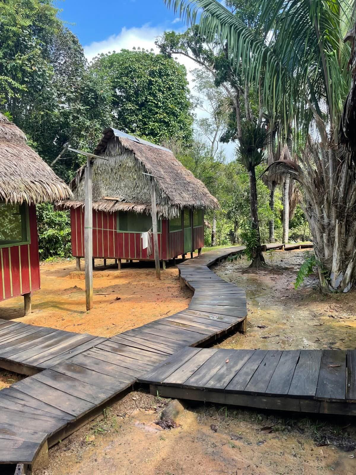 Wooden boardwalk leading to thatched cabins at the camp