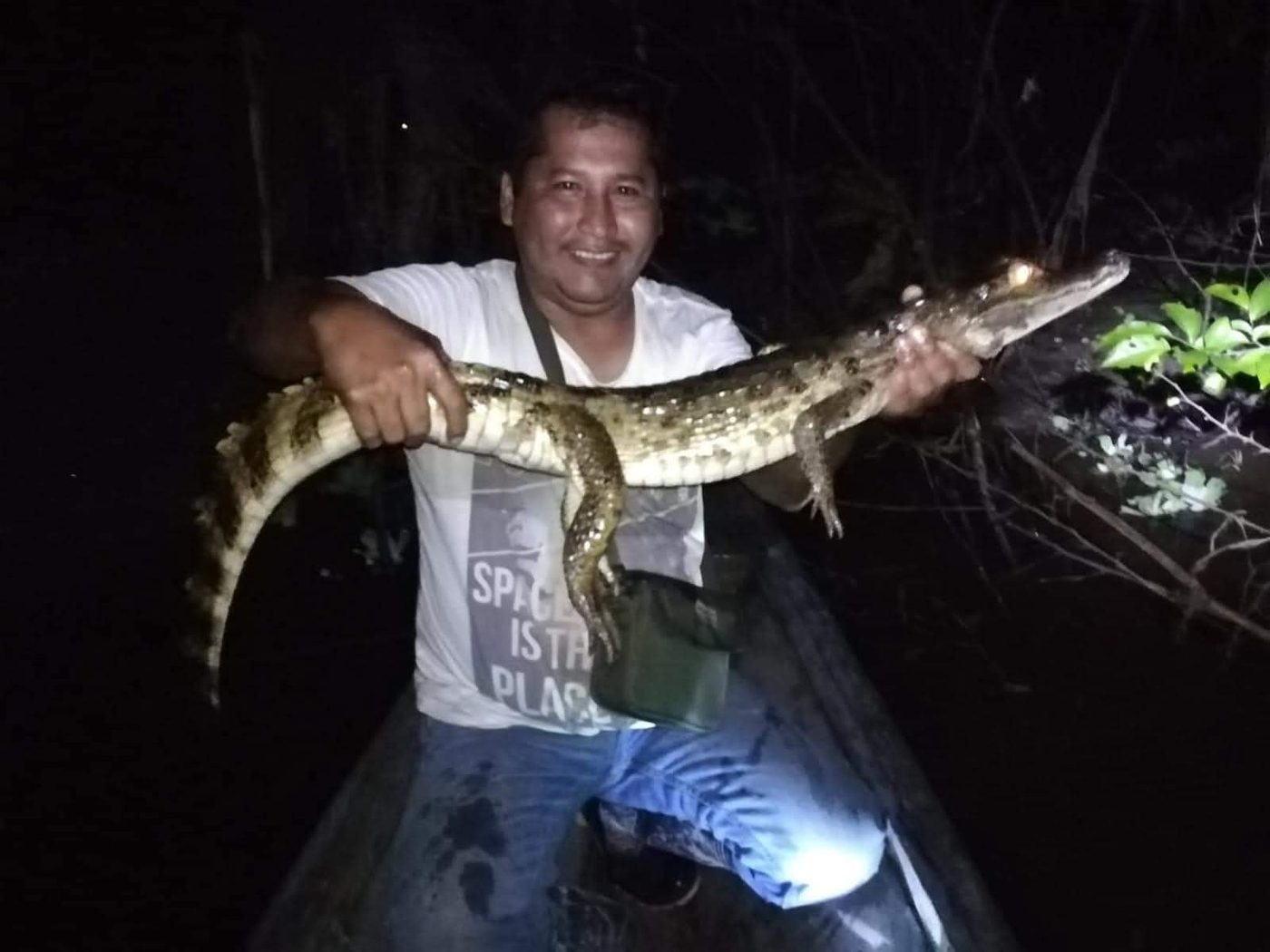 A caiman held up on the night excursion