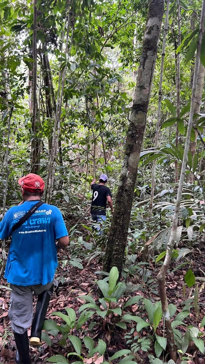 Walking through tall forest inside the reserve
